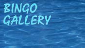 BINGO GALLERY