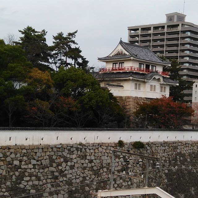 福山城2 #福山市
